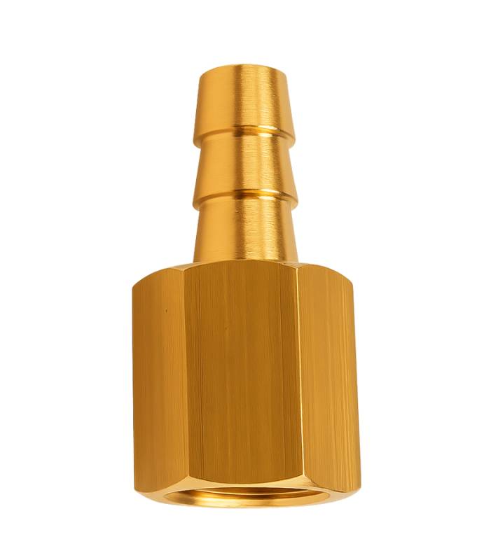 Racord Hembra De Bronce P/Manguera 531 Bsp