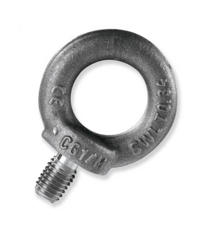 Cancamos Macho  Finistere